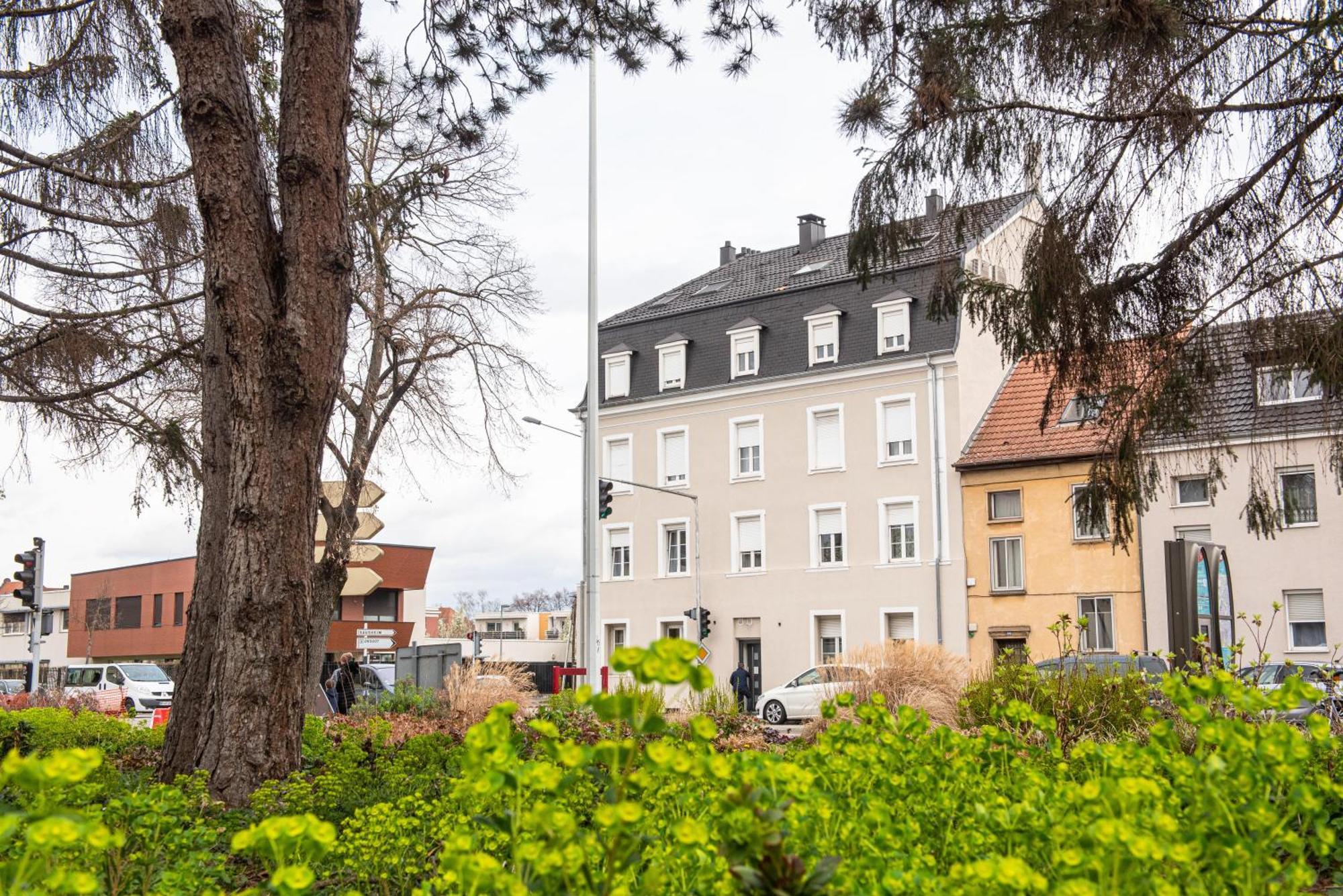 Ferienwohnung Oasis Mulhousien - Rdc, Wifi, Parking Mülhausen Exterior foto